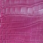 Pink Crocodile Square