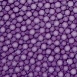 Purple Stingray