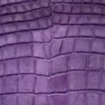 Purple Crocodile Square