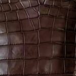 Dark Brown Crocodile Square