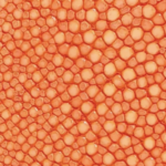 Orange Stingray